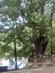 安房神社(千葉県)