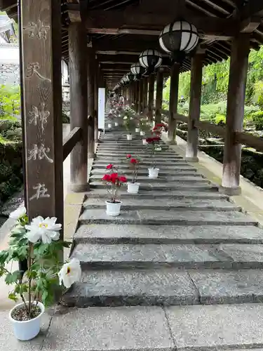 長谷寺(奈良県)