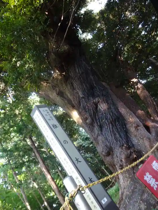 五社神社のその他建物