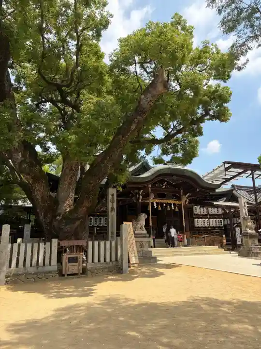 石切劔箭神社(大阪府)