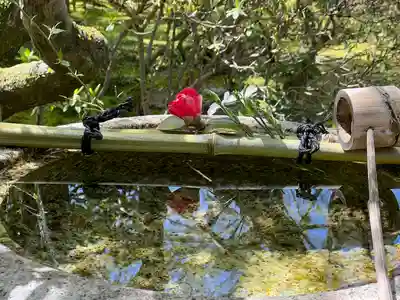 退蔵院(京都府)