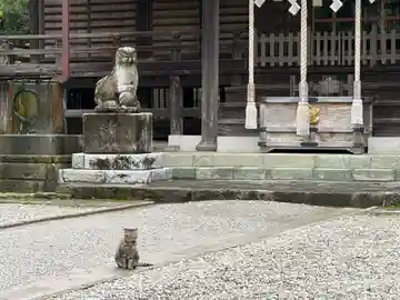 稲荷神社(千葉県)