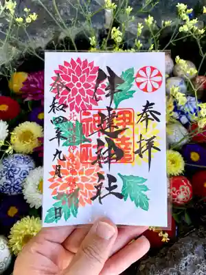 【9月】限定ご朱印🌼⛩