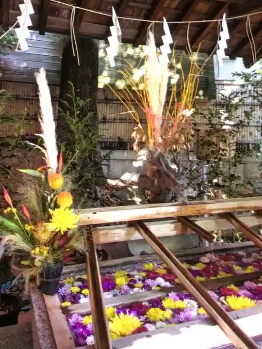 東京大神宮(東京都)