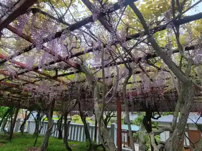 伊豫稲荷神社(愛媛県)