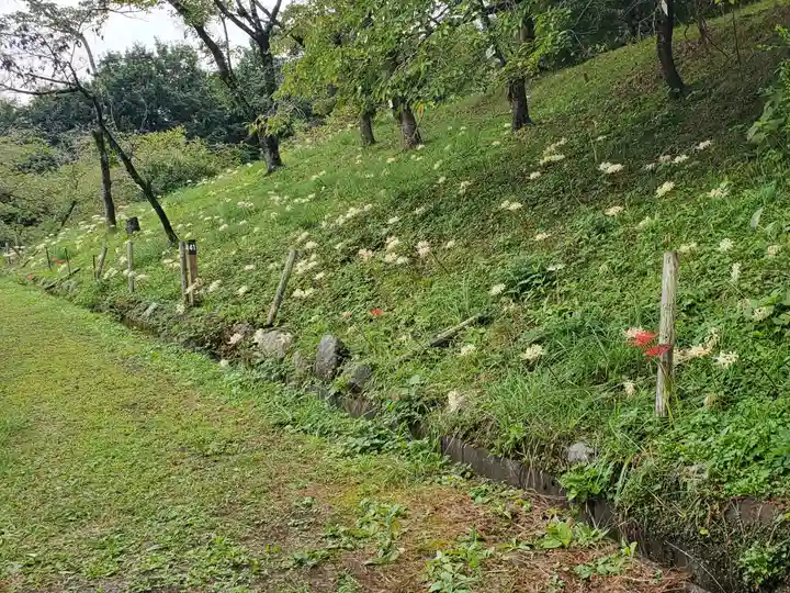 不動寺(埼玉県)