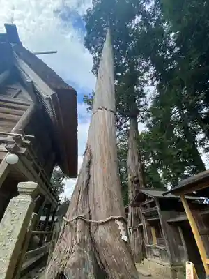 豊受大神社(京都府)