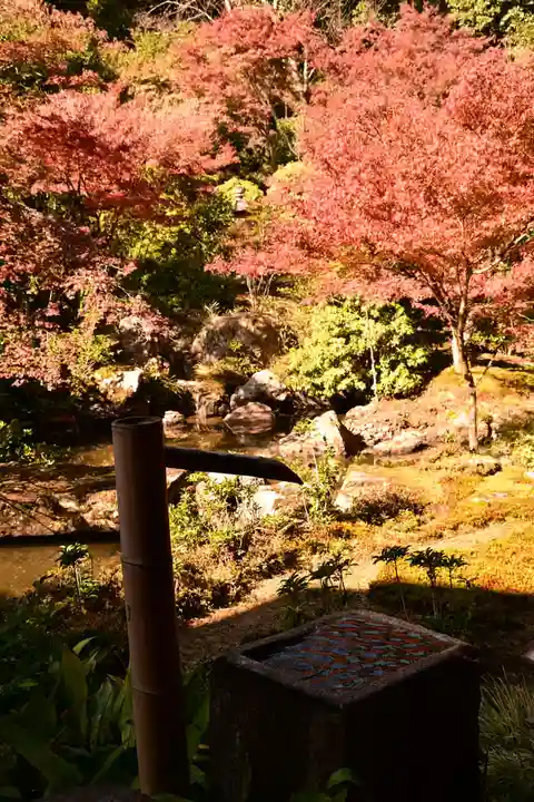 実相院門跡(京都府)