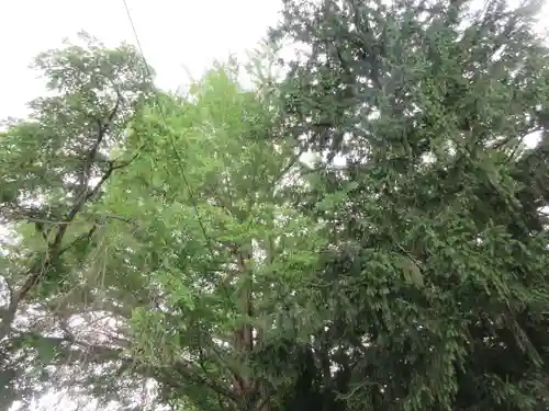 伊豆山神社 里宮(秋田県)