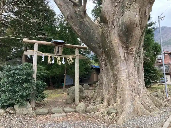 上諏訪神社(彌彦神社末社)(新潟県)