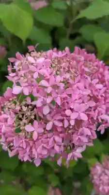 桂昌寺(岐阜県)