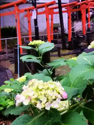 鳩森八幡神社(東京都)