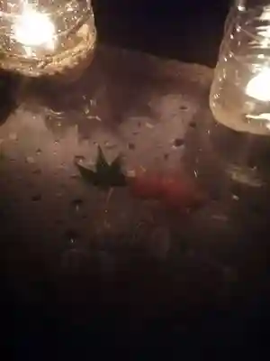 伏木香取神社の手水舎