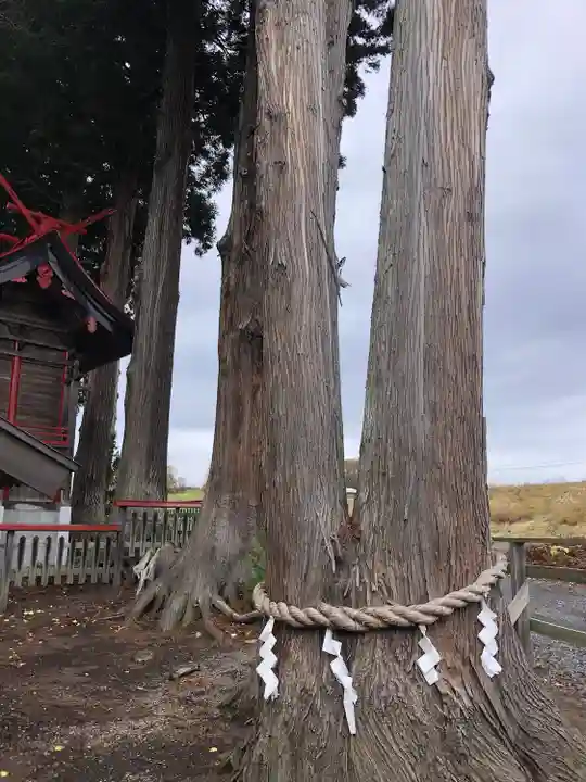 武甕槌神社の自然