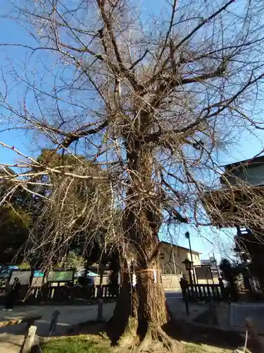 今宮神社(栃木県)