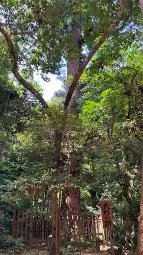 八重垣神社の自然