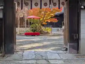 水無瀬神宮(大阪府)(2024年11月25日(月) 09時53分47秒投稿)