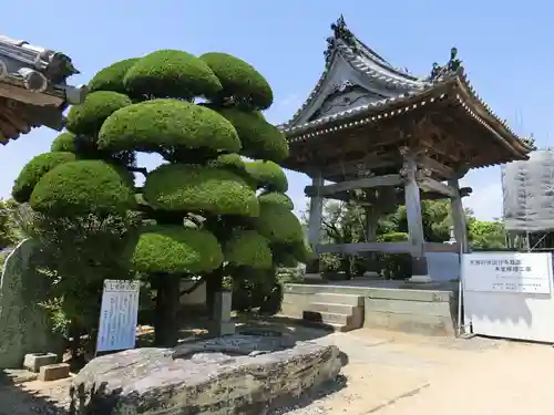 国分寺の建物その他