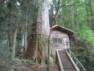 五柱神社(東京都)