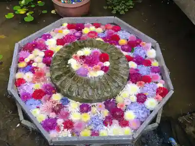 岡寺（龍蓋寺）の手水舎