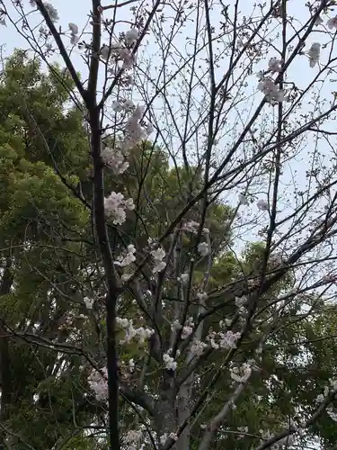 三輪神社の自然