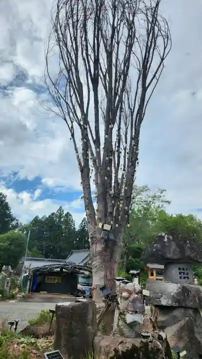 龍澤寺(福島県)