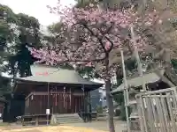 六所神社の{uncategorized: "未分類", other: "その他", undefined: "問題あり", building: "その他建物", grave: "お墓", sacred_gate: "鳥居", guardian: "狛犬", statue: "像", buddha: "仏像", history: "歴史", nature: "自然", garden: "庭園", animal: "動物", pagoda: "塔", temizu: "手水舎", mountain_gate: "山門・神門", sanctuary: "本殿・本堂", subordinate: "末社・摂社", art: "芸術", scenery: "景色", jizo: "地蔵", ema: "絵馬", goshuin: "御朱印", omikuji: "おみくじ", items: "授与品その他", amulet: "お守り", goshuincho: "御朱印帳", eats: "食事", festival: "お祭り", votive_dance: "神楽", shichigosan: "七五三参", wedding: "結婚式", experience: "体験その他", initially: "初詣", around: "周辺", anti_infection: "感染症対策"}