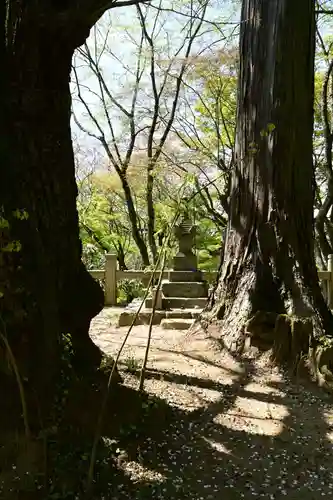 岡寺（龍蓋寺）(奈良県)