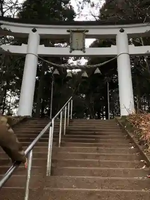 宝登山神社奥宮の{uncategorized: "未分類", other: "その他", undefined: "問題あり", building: "その他建物", grave: "お墓", sacred_gate: "鳥居", guardian: "狛犬", statue: "像", buddha: "仏像", history: "歴史", nature: "自然", garden: "庭園", animal: "動物", pagoda: "塔", temizu: "手水舎", mountain_gate: "山門・神門", sanctuary: "本殿・本堂", subordinate: "末社・摂社", art: "芸術", scenery: "景色", jizo: "地蔵", ema: "絵馬", goshuin: "御朱印", omikuji: "おみくじ", items: "授与品その他", amulet: "お守り", goshuincho: "御朱印帳", eats: "食事", festival: "お祭り", votive_dance: "神楽", shichigosan: "七五三参", wedding: "結婚式", experience: "体験その他", initially: "初詣", around: "周辺", anti_infection: "感染症対策"}