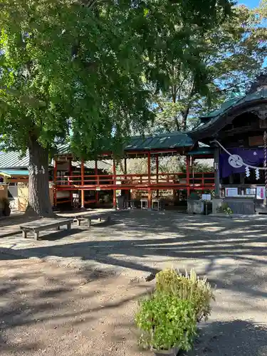 水海道鎮守 八幡神社(茨城県)