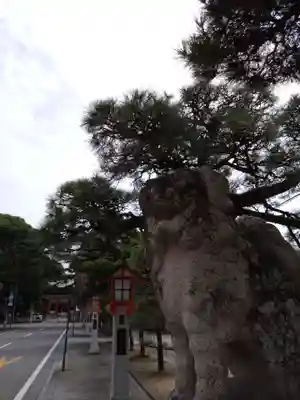 藤崎八旛宮(熊本県)