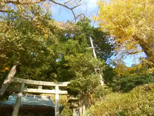 十二所神社の自然