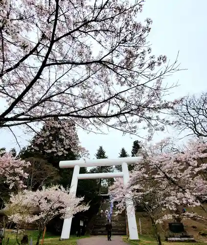 土津神社｜こどもと出世の神さまの鳥居