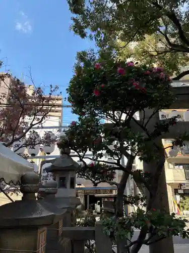 サムハラ神社の庭園