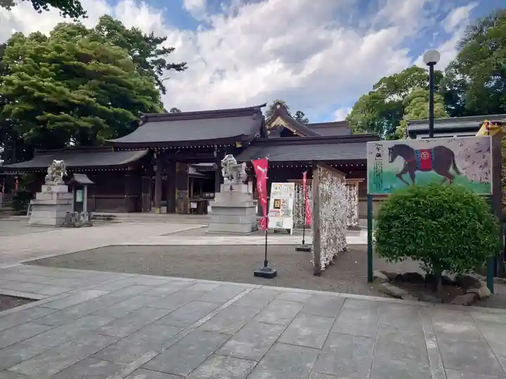 亀ケ池八幡宮(神奈川県)