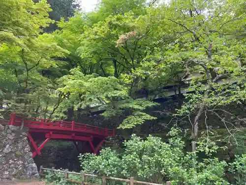 横蔵寺(岐阜県)