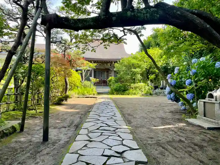 教恩寺(神奈川県)