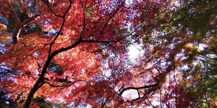 長谷寺(神奈川県)