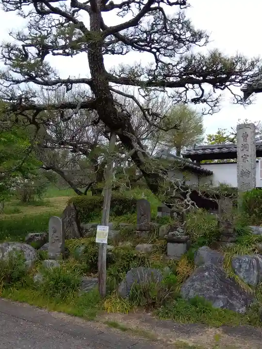 輪禅寺(埼玉県)