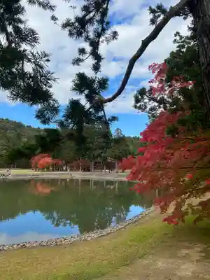 毛越寺(岩手県)