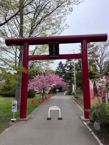 多賀神社の鳥居