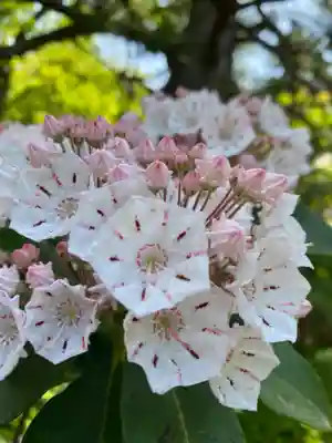 龍潭寺(静岡県)