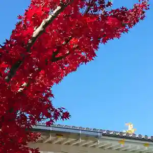 寿量山 速成寺の庭園(2019年12月10日(火) 20時11分35秒投稿)