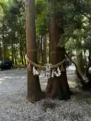 駒形神社(岩手県)