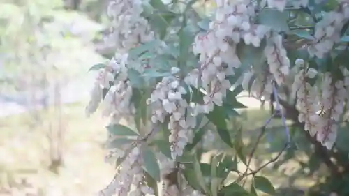 伊勢の国 四天王寺(三重県)
