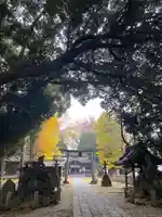 雀神社(茨城県)