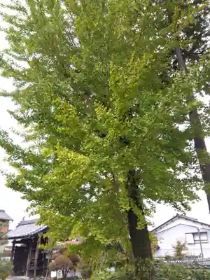 来昌寺(岐阜県)