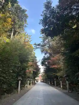 寒川神社(神奈川県)