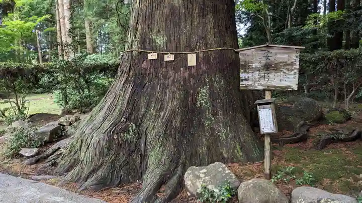 牛尾神社の自然