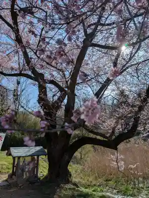 宇賀神さま(福島県)